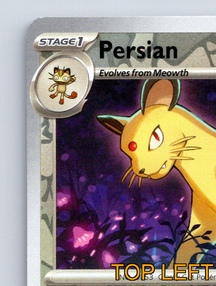 Stage 1 Persian HP 110 Rocket Call Ability Slash Attack Gray