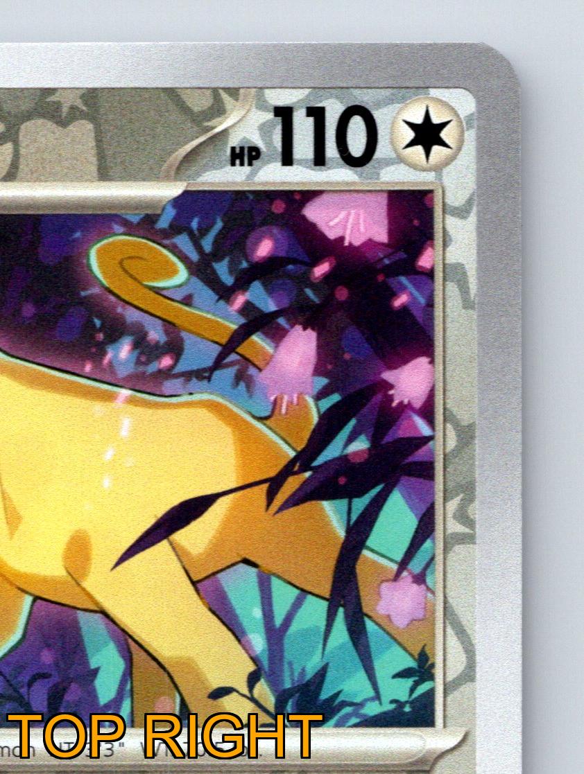 Stage 1 Persian HP 110 Rocket Call Ability Slash Attack Gray