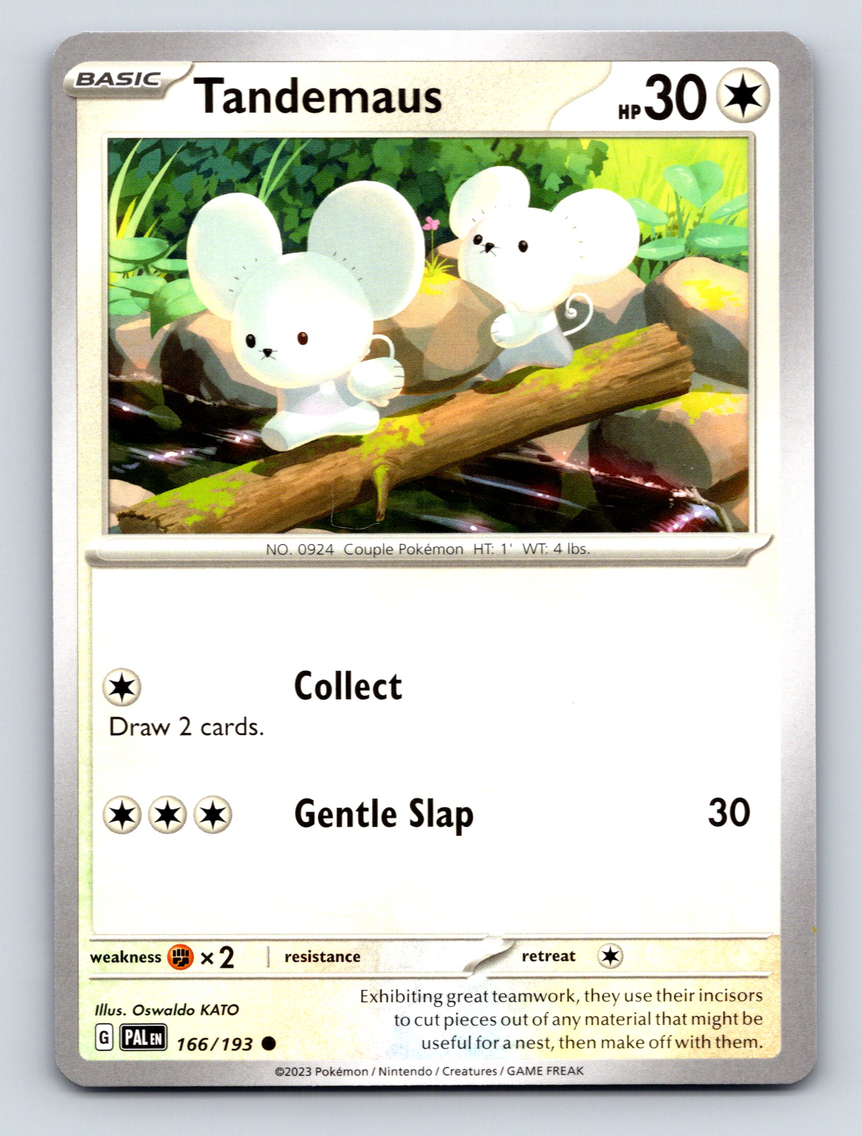Basic Tandemaus HP 30 Gentle Slap Attack Rarity White Couple Pokmon | eBay