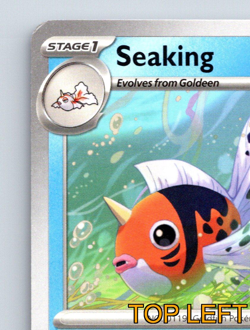 fish pokemon card Cards with Fishermen/women/Pokemon? Also first forum post! - General
