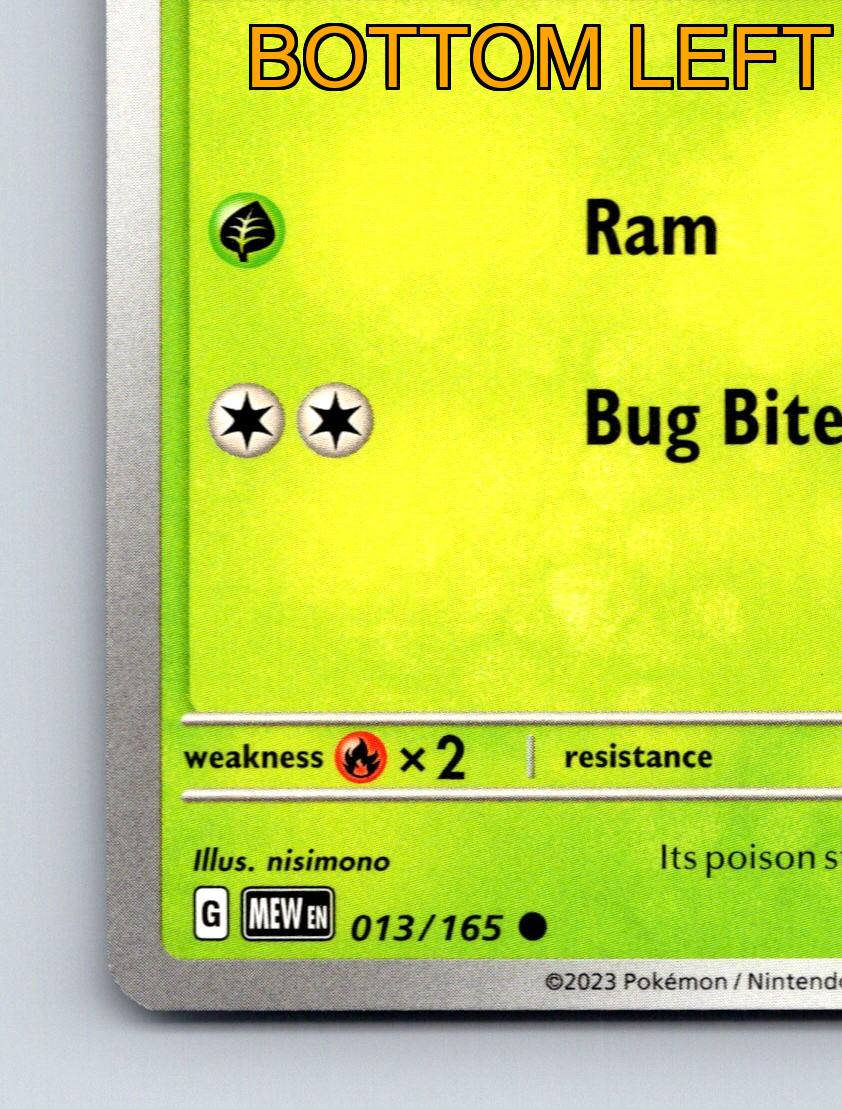 Pokémon Karte Basic Weedle HP 50 Ram Bug Bite Attack Green Lush - Bild 5 von 10