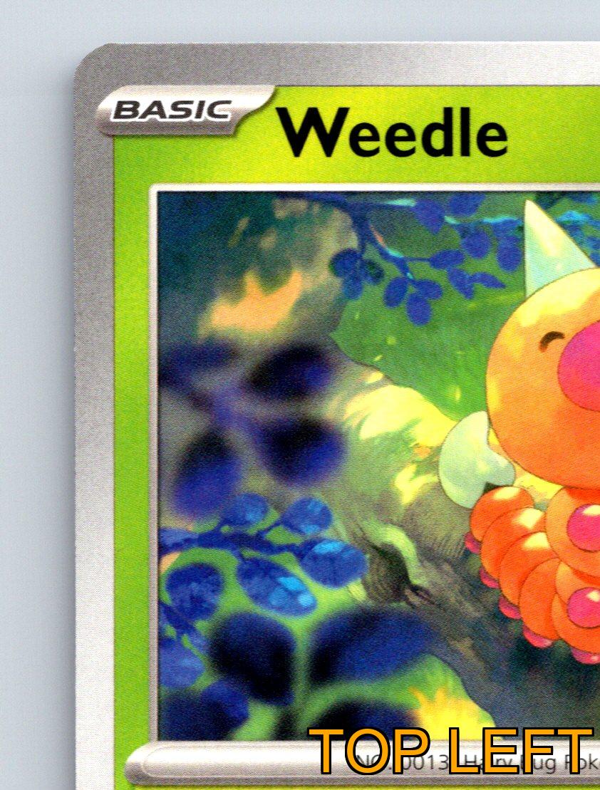 Pokémon Karte Basic Weedle HP 50 Ram Bug Bite Attack Green Lush - Bild 3 von 10