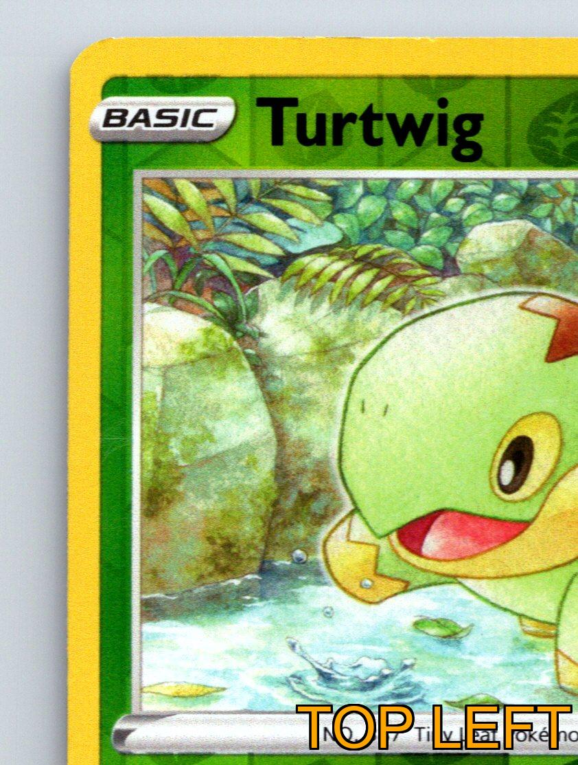 Basic Turtwig HP 80 Headbutt Bounce Attack Green Forest