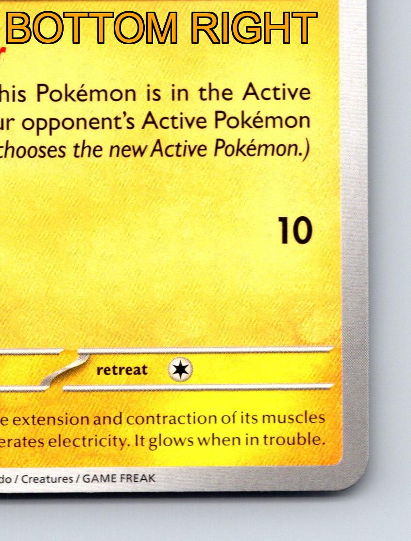 Basic Shinx HP 40 Big Roar Ram Attack Rarity Yellow Vibrant