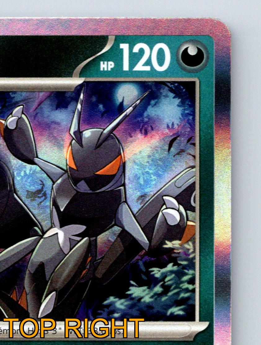Stage 1 Lokix HP 120 Bounce Attack Punishing Rarity Green Pokémon