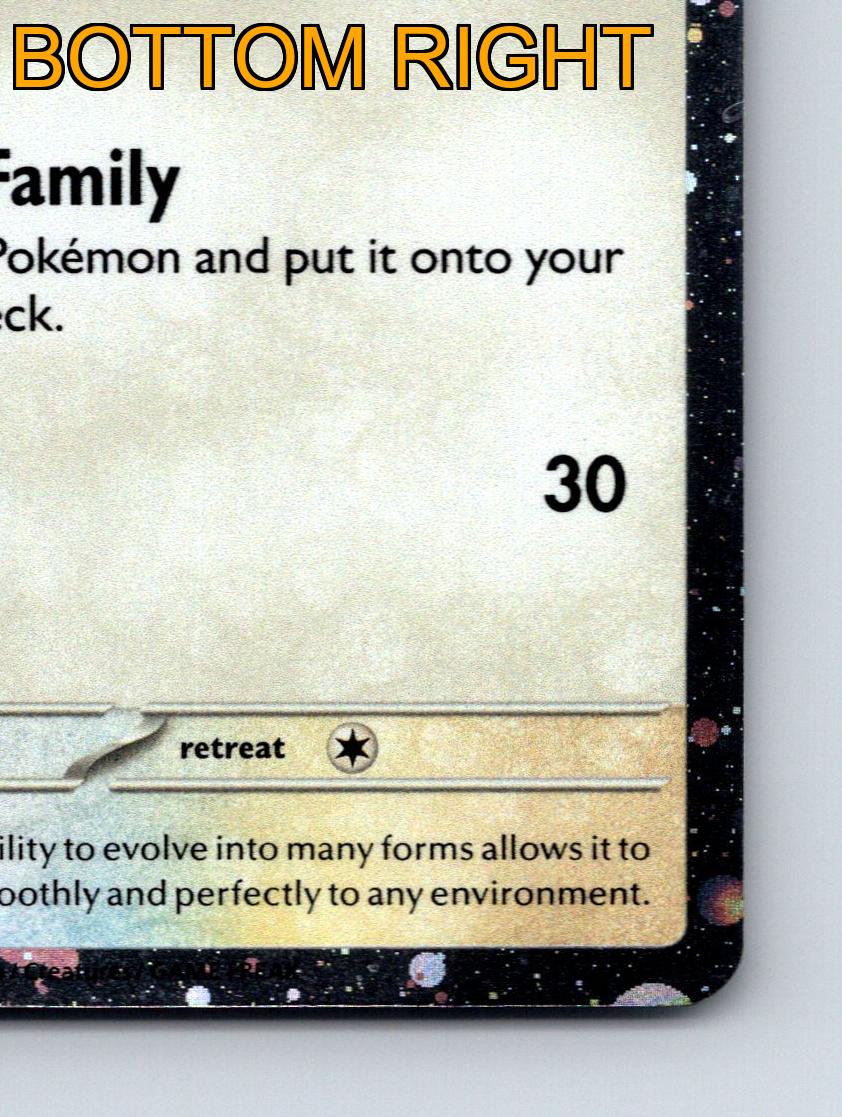 Basic Eevee HP 60 Call For Family Tackle Rarität Bunt Pokémon - Bild 6 von 10