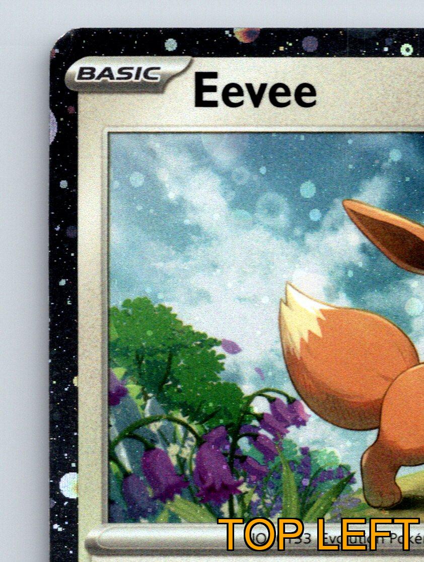 Basic Eevee HP 60 Call For Family Tackle Rarität Bunt Pokémon - Bild 3 von 10