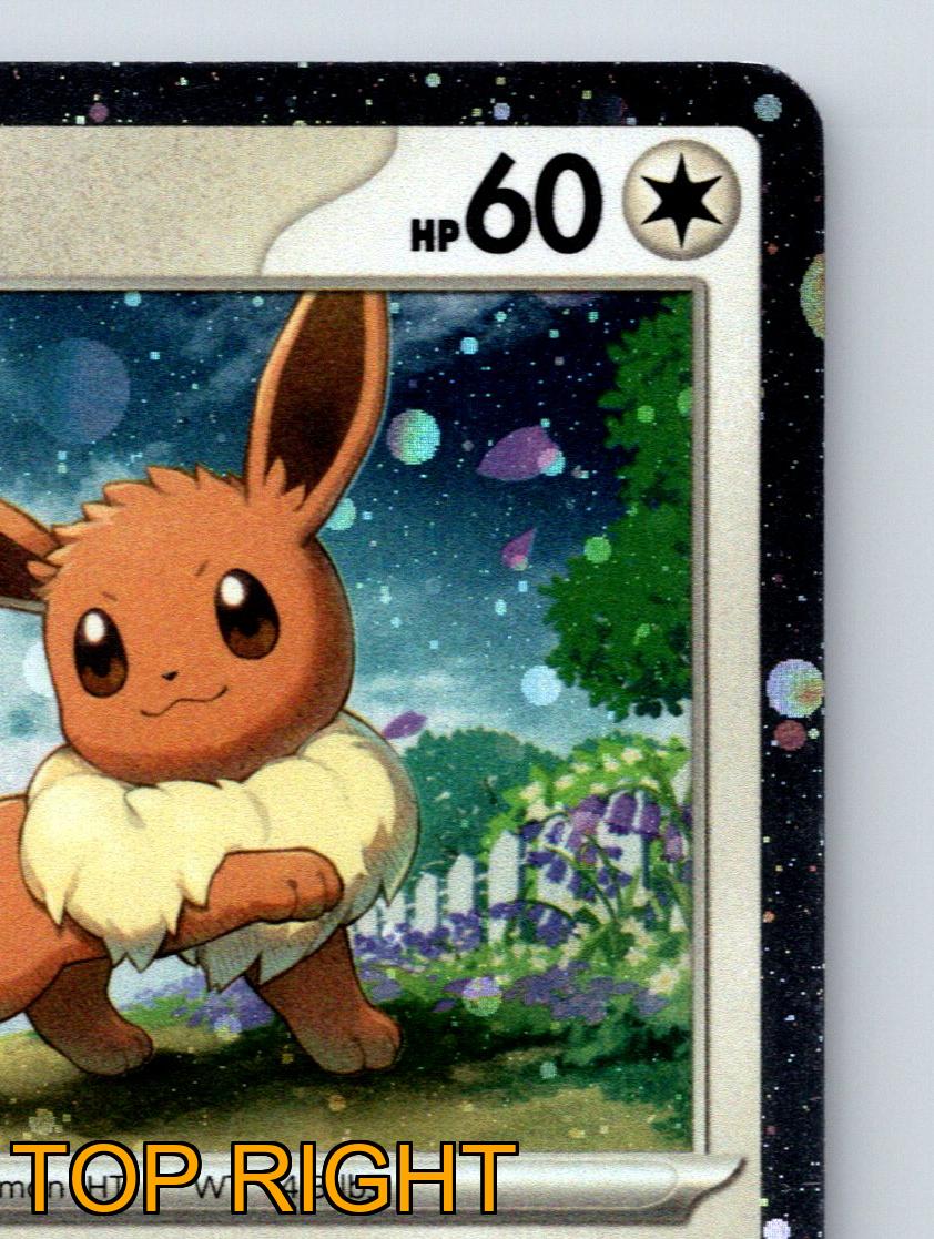 Basic Eevee HP 60 Call For Family Tackle Rarität Bunt Pokémon - Bild 4 von 10