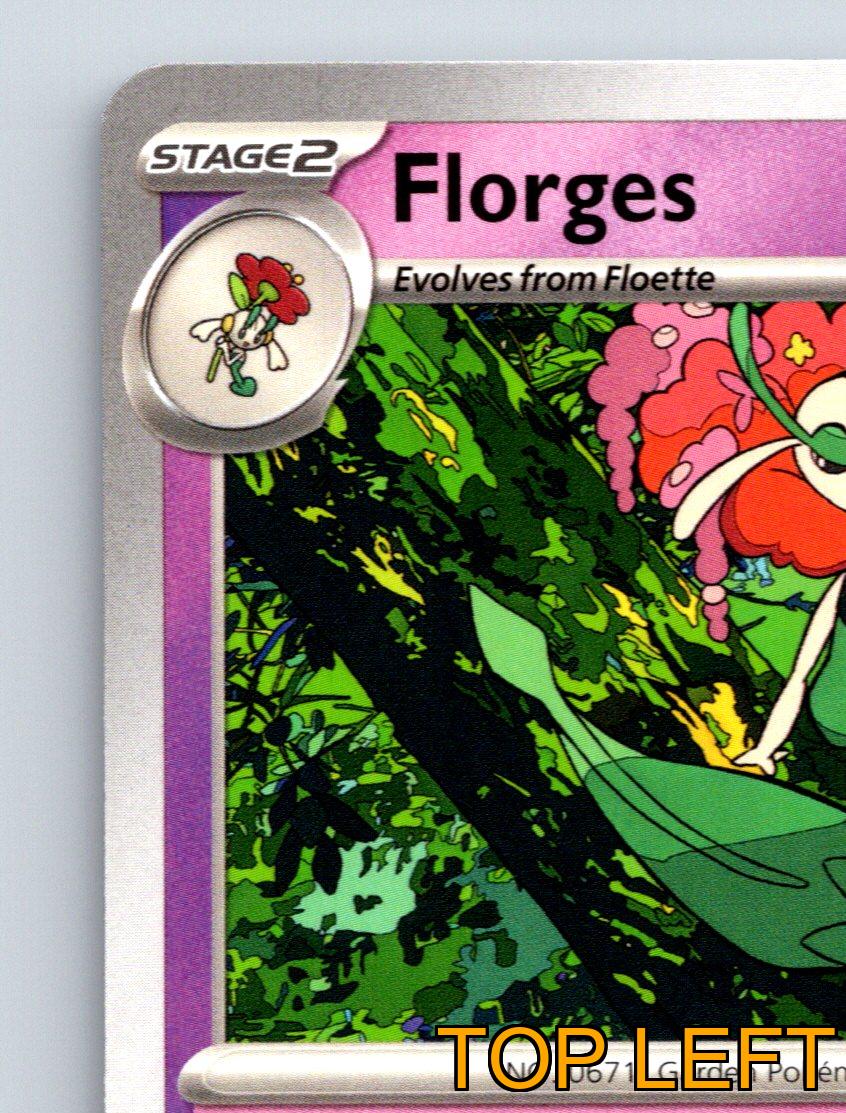 Stage 2 Florges HP 140 Moonblast Attack Rarity Pink Lush