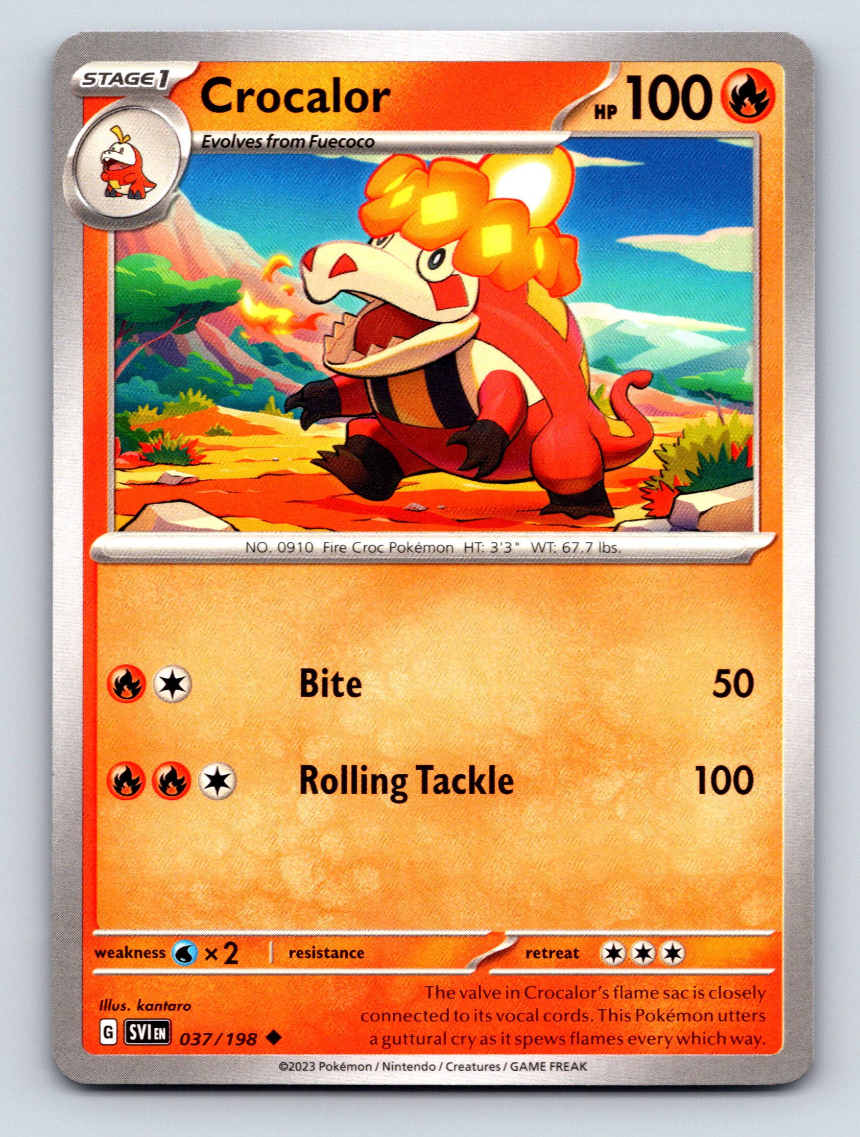 Stage 1 Crocalor HP 100 Bite Attack Rarity Red Colorful Pokémon | eBay