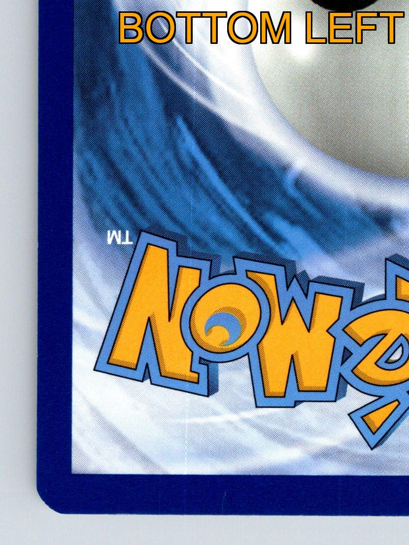 Pokémon Karte Basic Phanpy HP 80 Stärke Rolling Tackle Rarität Bunt - Bild 9 von 10