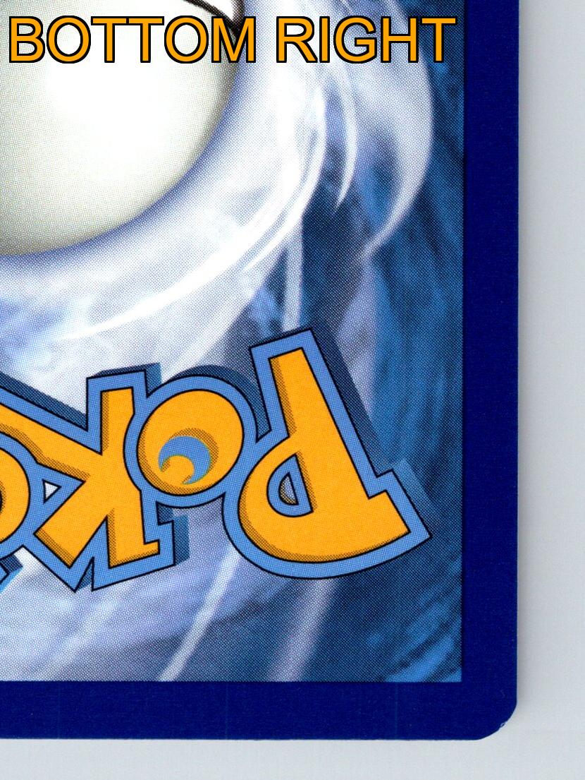 Pokémon Karte Basic Phanpy HP 80 Stärke Rolling Tackle Rarität Bunt - Bild 10 von 10