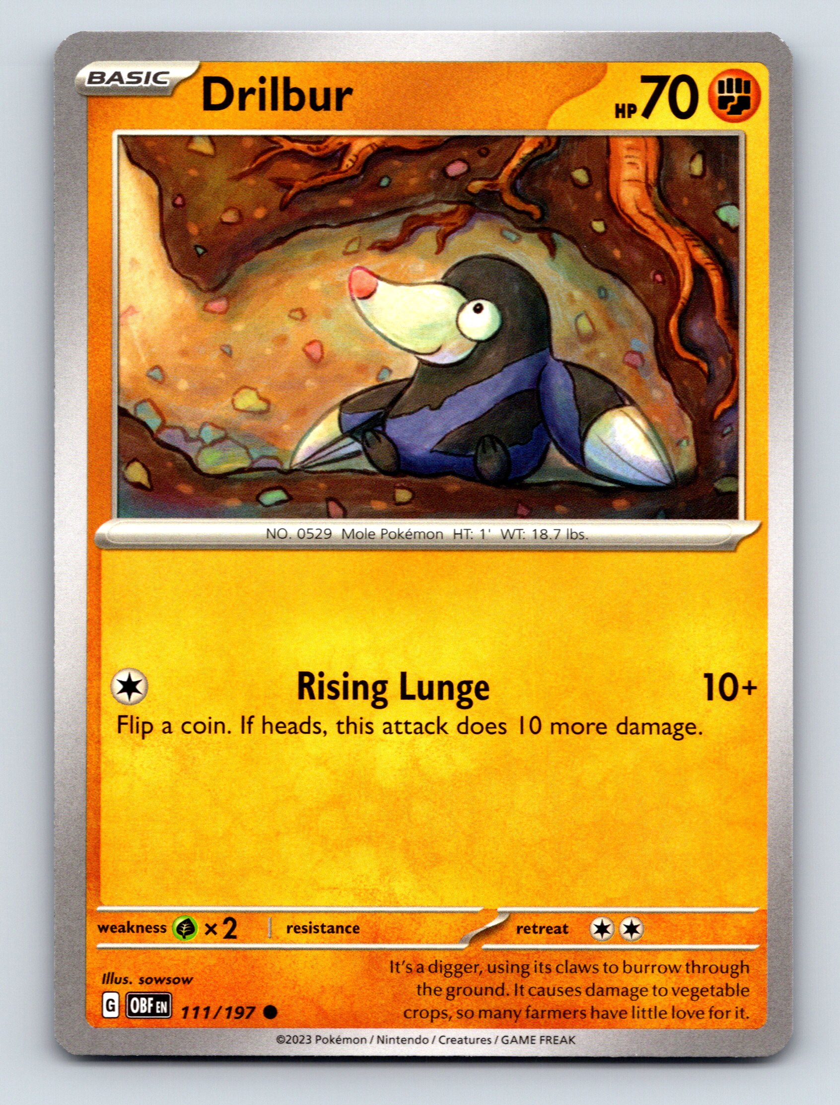 Basic Drilbur HP 70 Rising Lunge Attack Rarity Orange Card Pokémon