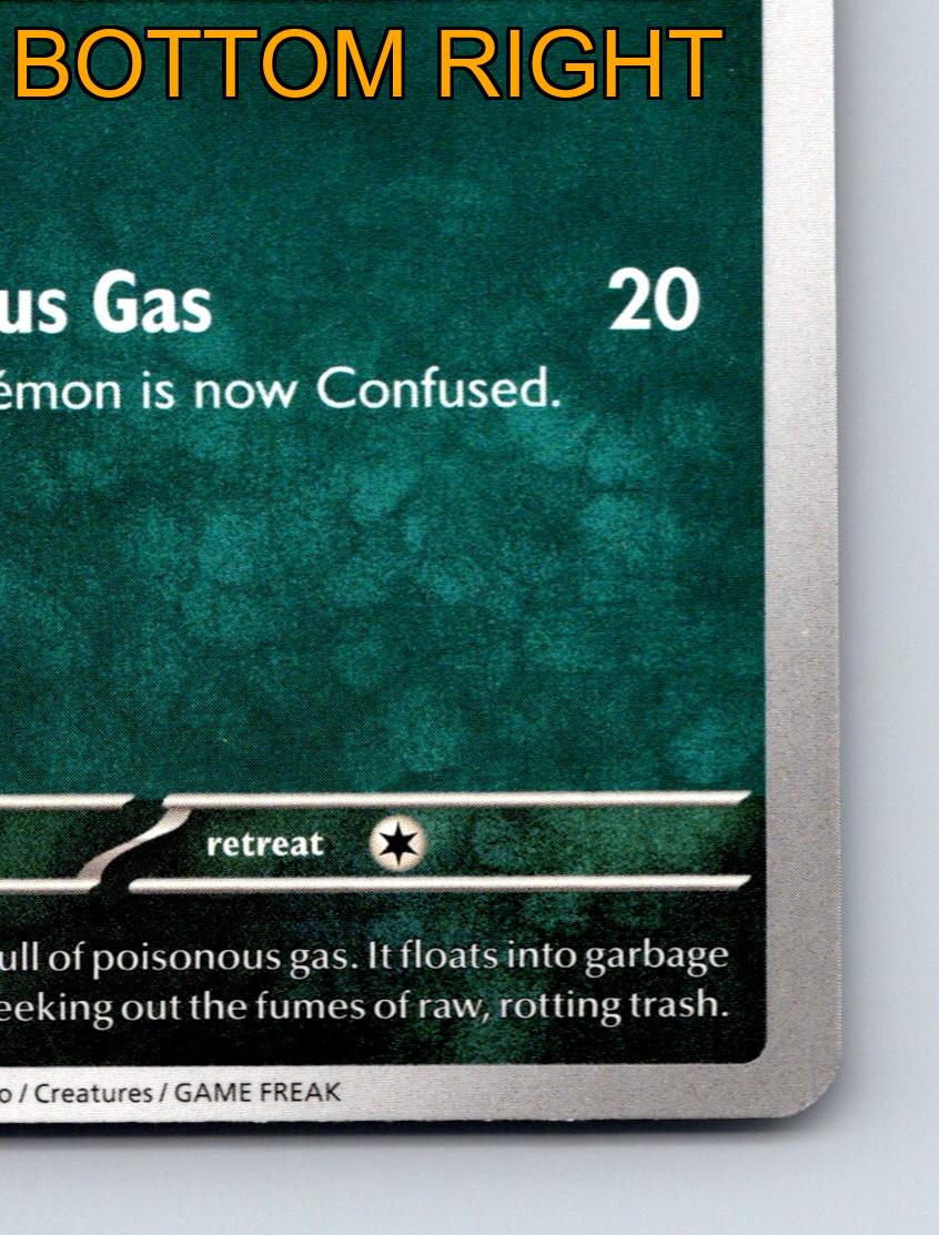 Basic Koffing HP 60 Attacco Gas Sospetto Pokémon Colorato Verde - Foto 6 di 10