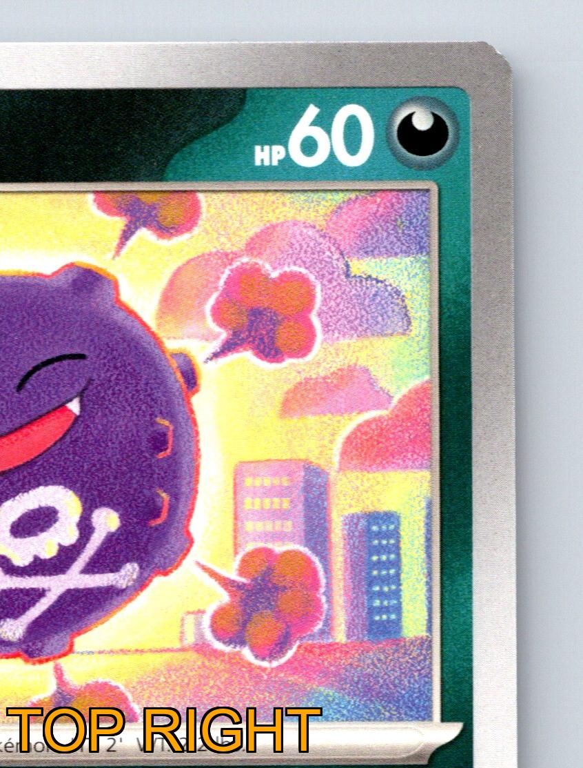 Basic Koffing HP 60 Attacco Gas Sospetto Pokémon Colorato Verde - Foto 4 di 10