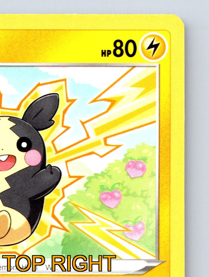 Basic Morpeko HP 80 Targeted Spark Attack Rarity Yellow Pokémon
