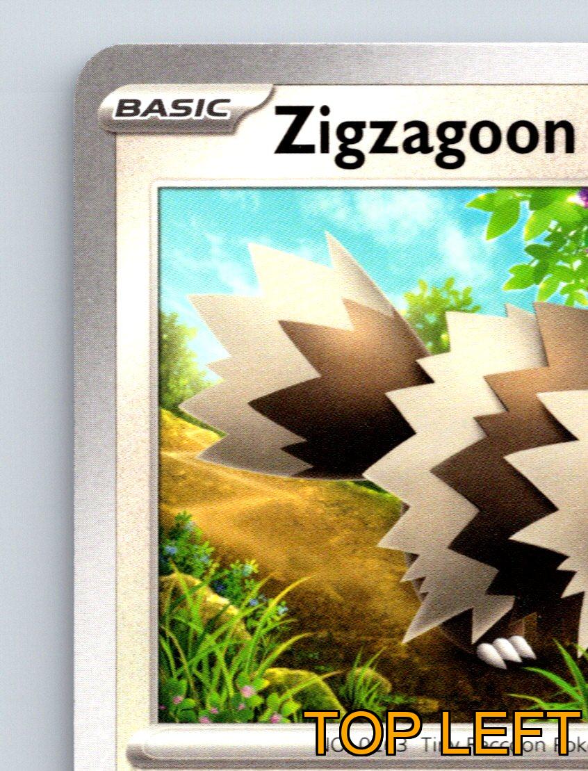 Basic Zigzagoon HP 70 Headbutt Bounce Claw Slash Rarity