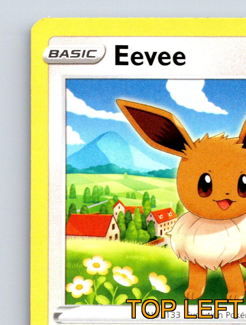 Basic Eevee HP 50 Continuous Steps Attack Rarity Yellow Pokémon Card - Picture 3 of 10