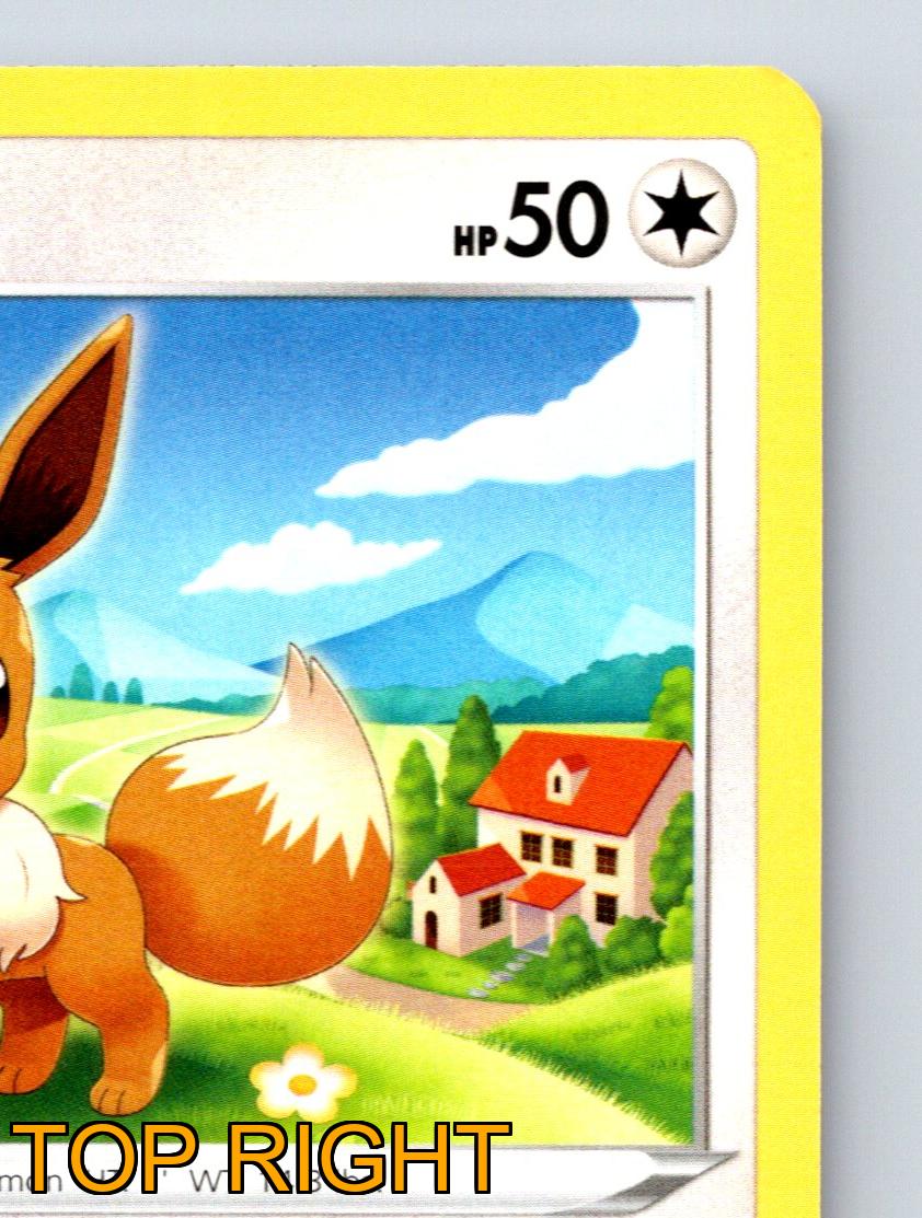 Basic Eevee HP 50 Continuous Steps Attack Rarity Yellow Pokémon Card - Picture 4 of 10