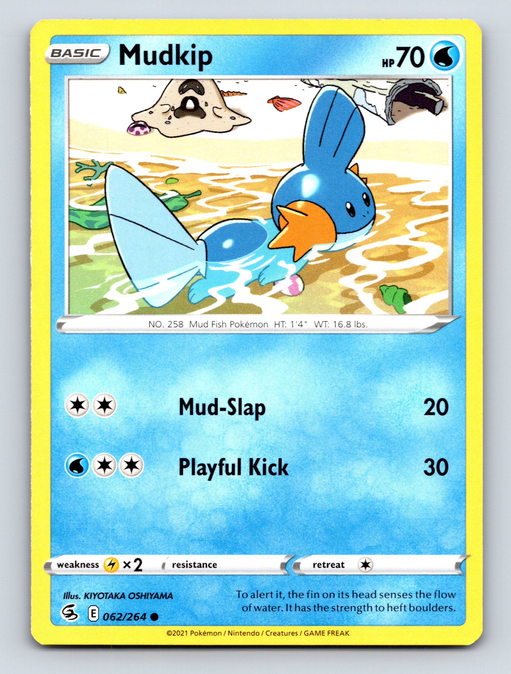 Basic Mudkip HP 70 Mud Slap Attack Water Blue Pokmon Card Art
