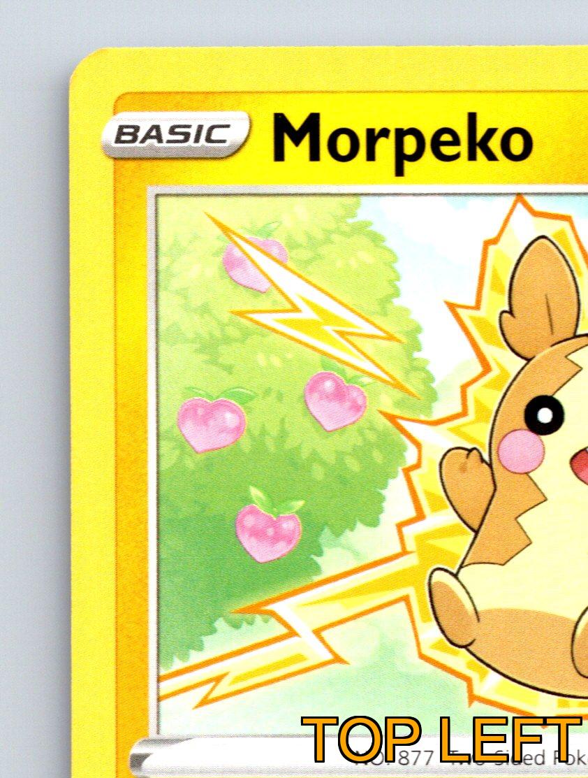 Basic Morpeko HP 80 Targeted Spark Lightning TwoSided Pokémon