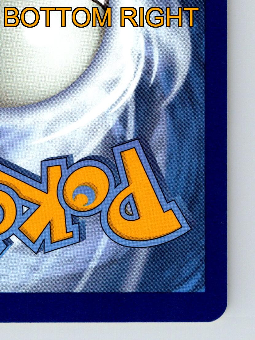 Basic Heatmor HP 110 Exciting Flame Attack Rarity Red Fiery Pokémon - Picture 10 of 10