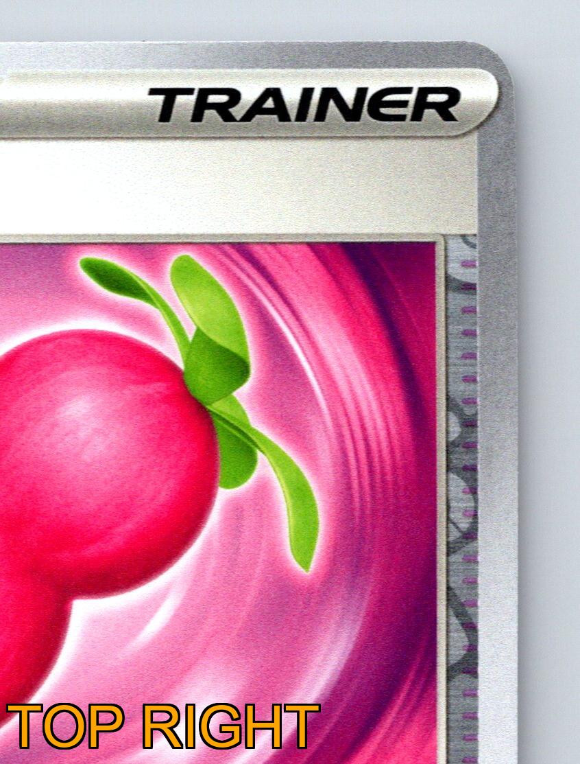 Trainer Payapa Berry Pokémon Tool Pink Vibrant Design Effective
