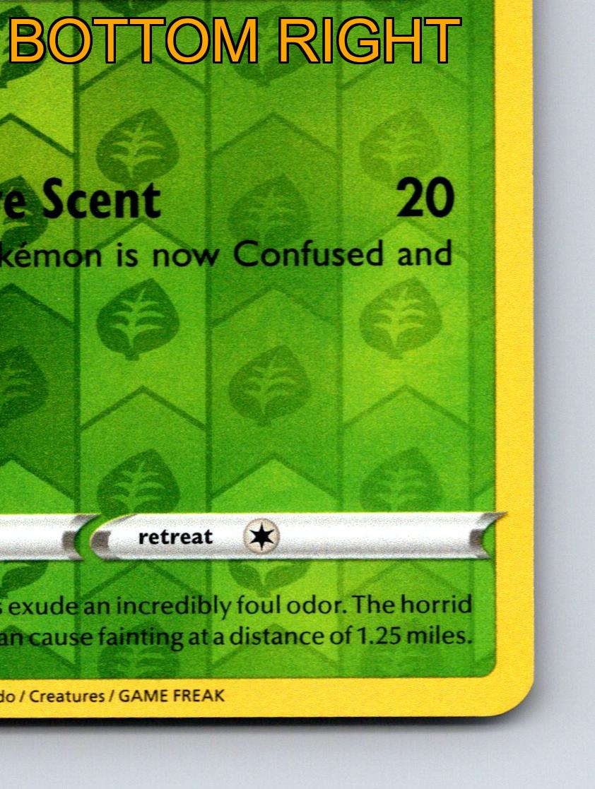 Stage 1 Gloom HP 70 Offensive Scent Attack Rarity Green Pokémon - Picture 6 of 10
