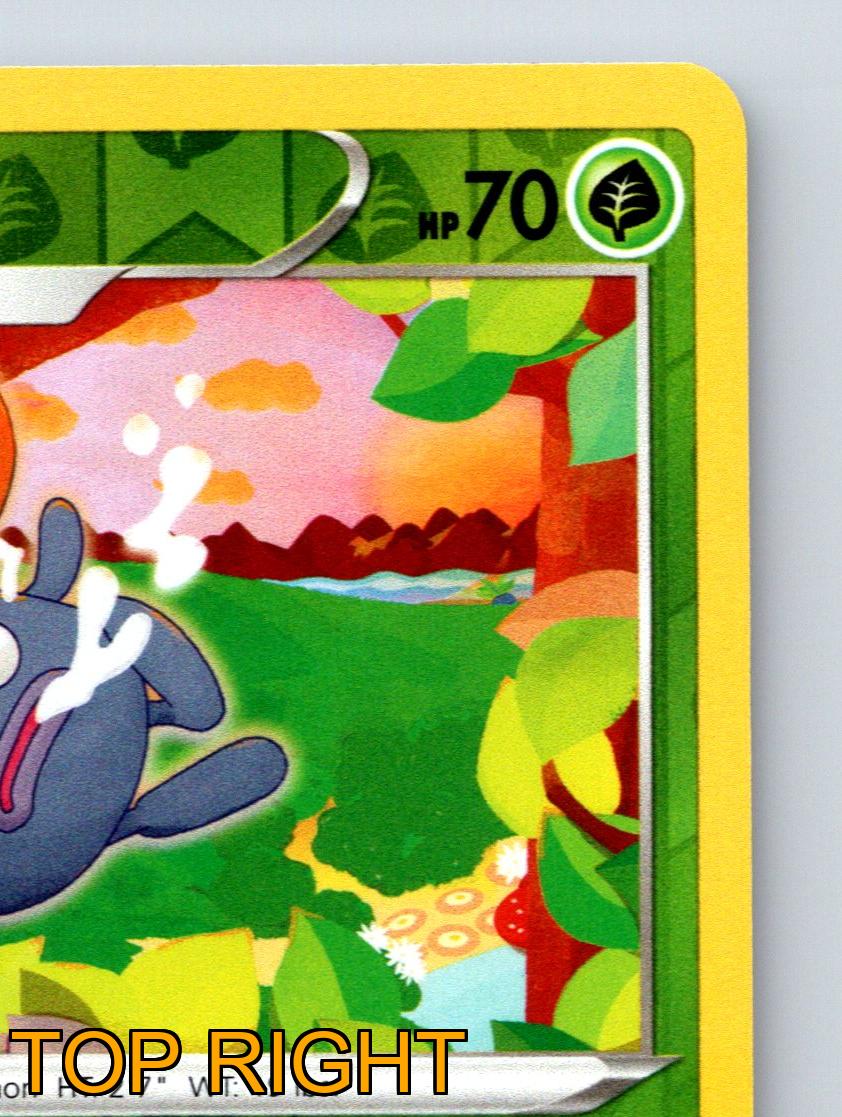 Stage 1 Gloom HP 70 Offensive Scent Attack Rarity Green Pokémon - Picture 4 of 10