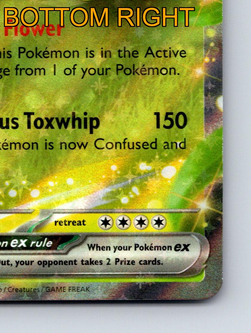 Stage 2 Venusaur EX HP 340 Tranquil Flower Ability Green Pokémon - Picture 6 of 10