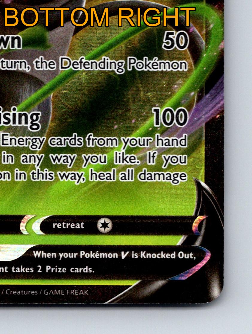 Basic Zarude V HP 210 Jungle Rising Attack Rare Black