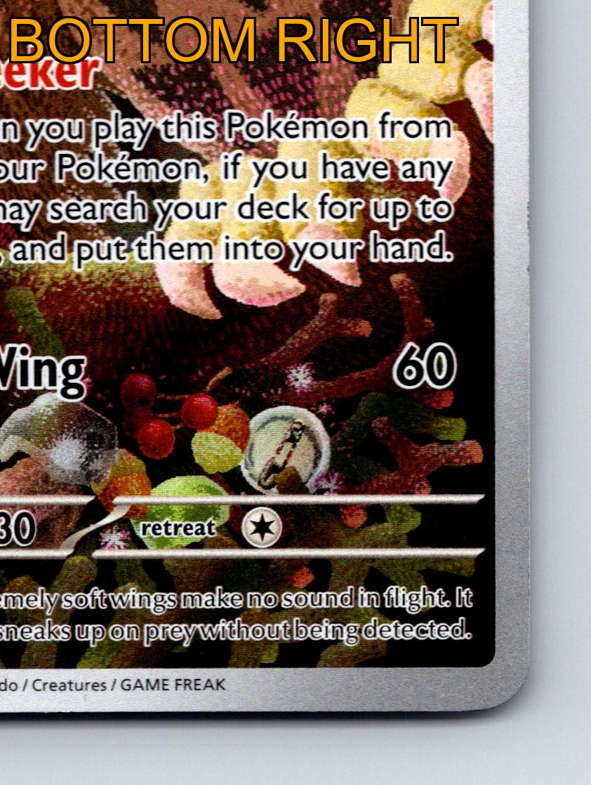 does jewel osco sell pokemon cards Stage 1 Noctowl HP 100 Jewel Seeker Speed Wing Rarity Brown Hues Pokémon