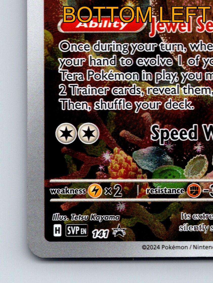 Stage 1 Noctowl HP 100 Jewel Seeker Speed Wing Rarity Brown Hues