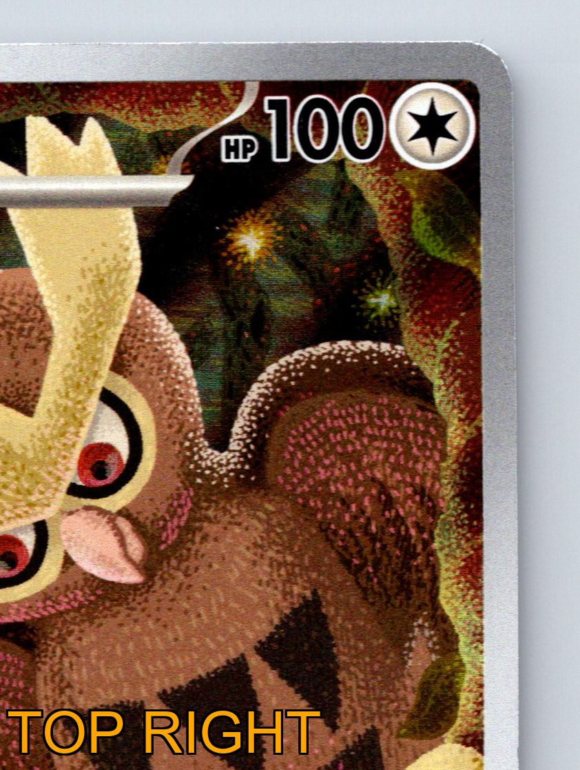 Stage 1 Noctowl HP 100 Jewel Seeker Speed Wing Rarity Brown
