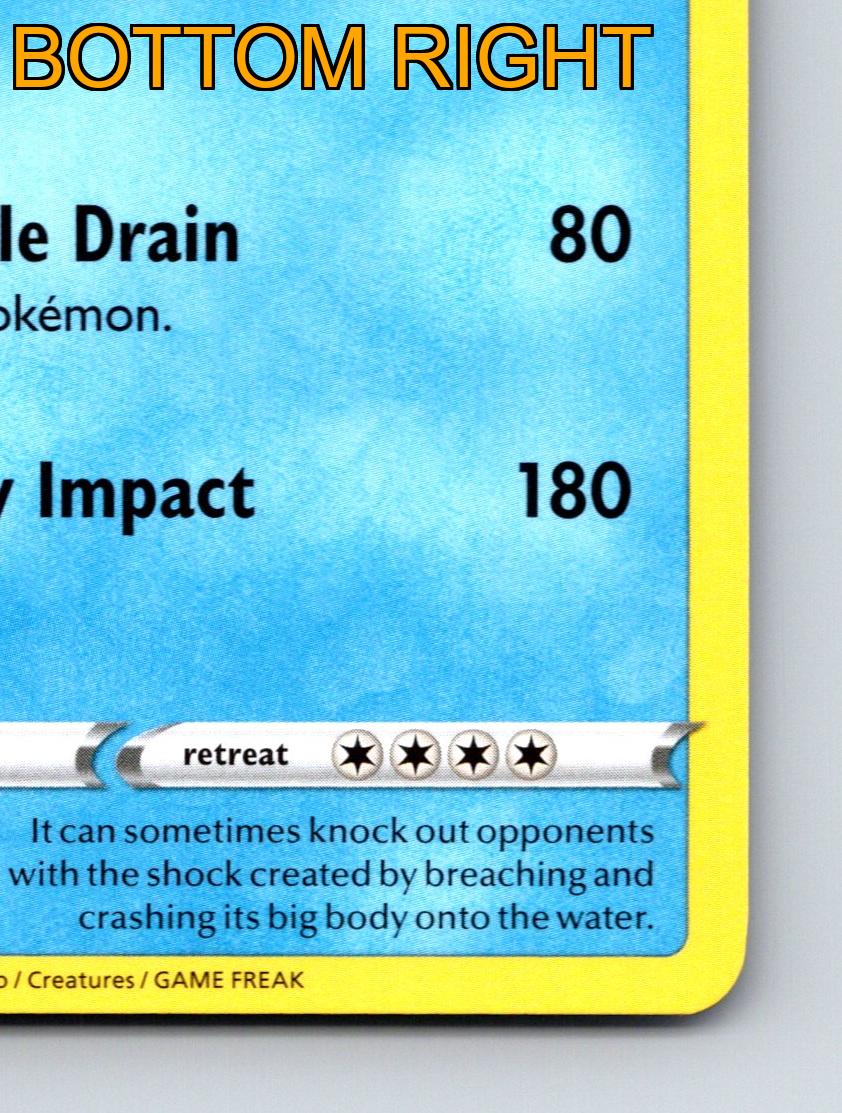 Stage 1 Wailord HP 220 Heavy Impact Pokémon Water Blue Essence - Picture 6 of 10