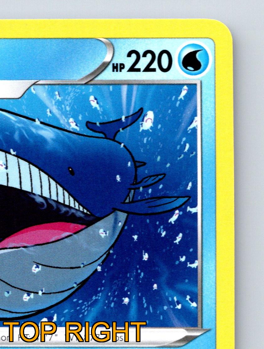 Stage 1 Wailord HP 220 Heavy Impact Pokémon Water Blue Essence - Picture 4 of 10